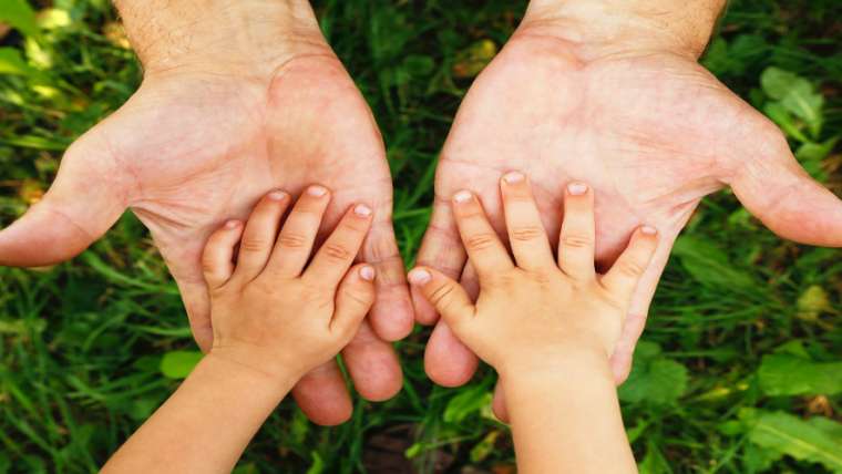 Florida Time-Sharing Attorney