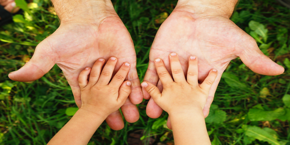 Florida time-sharing attorney